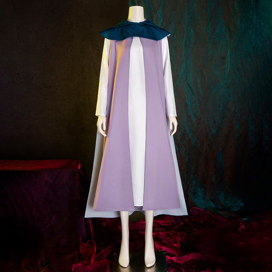 The Legend of Zelda Echoes of Wisdom Prinzessin Zelda Cosplay Kostüm