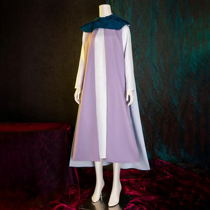 The Legend of Zelda Echoes of Wisdom Prinzessin Zelda Cosplay Kostüm
